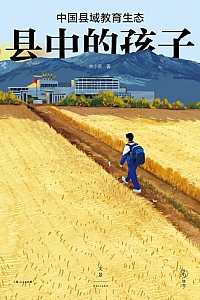《县中的孩子:中国县域教育生态》林小英