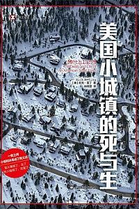 《美国小城镇的死与生》尼克·雷丁