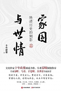 《家国与世情》十年砍柴