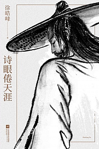 《诗眼倦天涯》徐皓峰