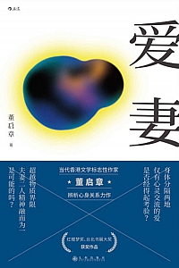 《爱妻》董启章