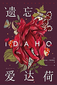 《遗忘爱达荷》艾米丽·卢斯科维奇