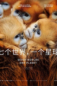 《BBC星球系列:七个世界,一个星球》强尼·基林