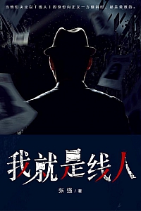 《我就是线人》