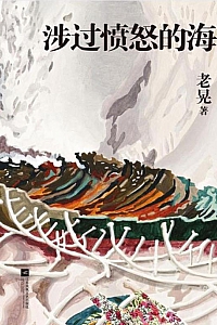 《涉过愤怒的海》老晃