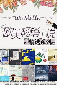 《欧美畅销小说精选系列》套装10册