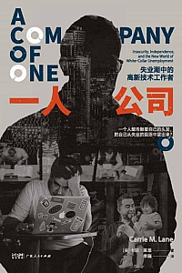 《一人公司:失业潮中的高新技术工作者》卡丽·莱恩
