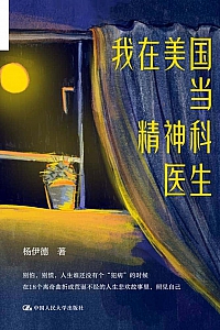 《我在美国当精神科医生》杨伊德