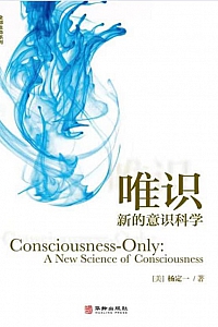 《唯识》杨定一