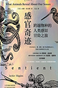 《感官奇迹》杰姬·希金斯