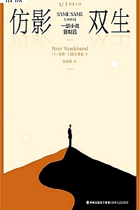 《仿影双生》彼得·门德尔桑德