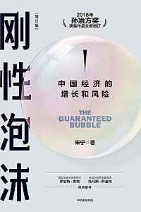 《刚性泡沫》朱宁