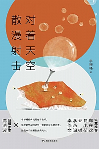 《对着天空散漫射击》李柳杨