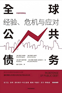 《全球公共债务》巴里·艾兴格林