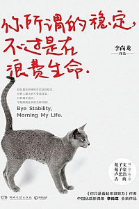 《你所谓的稳定,不过是在浪费生命》李尚龙