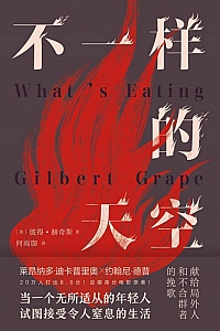 《不一样的天空》彼得·赫奇斯