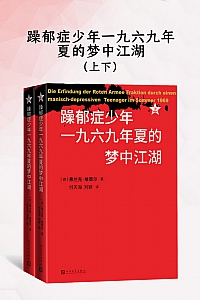 《躁郁症少年一九六九年夏的梦中江湖》上下