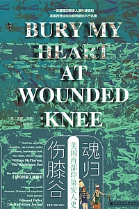 《魂归伤膝谷》迪伊·布朗