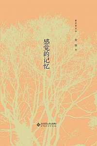 《感觉的记忆》秦颖