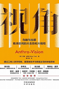 《视角:鸟瞰与虫眼》吉莲·邰蒂