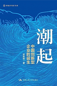 《潮起:中国创新型企业的诞生》封凯栋