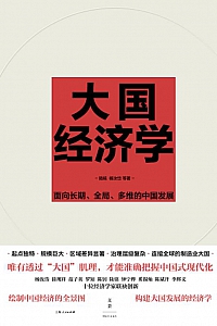 《大国经济学》陆铭