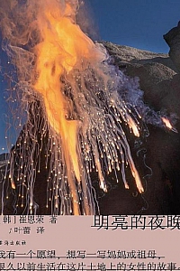 《明亮的夜晚》崔恩荣
