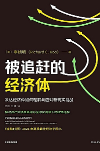 《被追赶的经济体》辜朝明