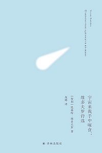 《宇宙来我手中啄食》比森特·维多夫罗