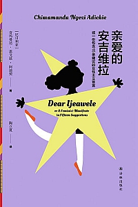 《亲爱的安吉维拉》恩戈兹·阿迪契