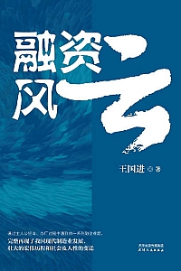 《融资风云》王国进