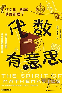 《代数有意思》大卫·艾奇逊