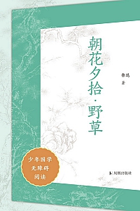 《朝花夕拾·野草》少年国学无障碍阅读