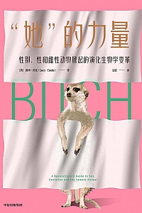 《她的力量》露西·库克