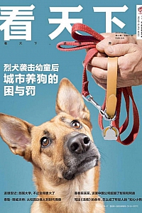 《看天下》2023年第31期