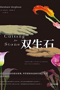 《双生石》亚伯拉罕·维基斯