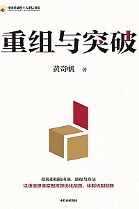 《重组与突破》黄奇帆