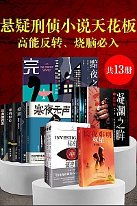 《悬疑刑侦小说天花板:高能反转、烧脑必入》套装13册