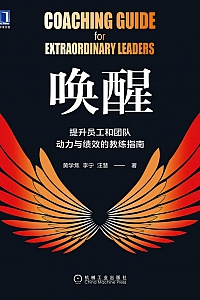 《唤醒:提升员工和团队动力与绩效的教练指南》
