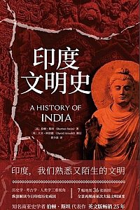 《印度文明史》伯顿·斯坦