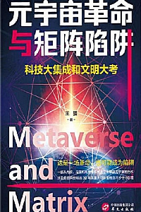 《元宇宙革命与矩阵陷阱》王骥