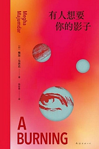 《有人想要你的影子》梅加·马宗达