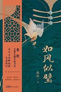 《如风似璧》张欣