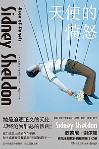 《天使的愤怒》西德尼·谢尔顿