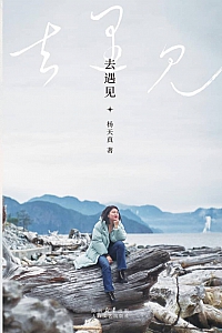 《去遇见》杨天真