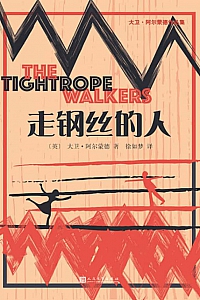 《走钢丝的人》大卫·阿尔蒙德