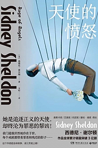 《天使的愤怒》西德尼·谢尔顿