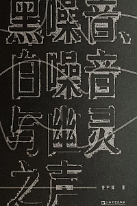 《黑噪音、白噪音与幽灵之声》姜宇辉