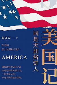 《同是天涯烙饼人:美国记》张守春