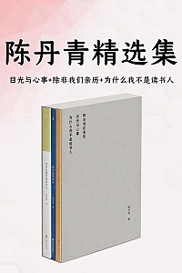 《陈丹青精选集》套装共3册